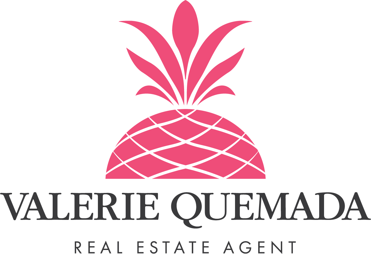 Valerie Quemada_logo_color